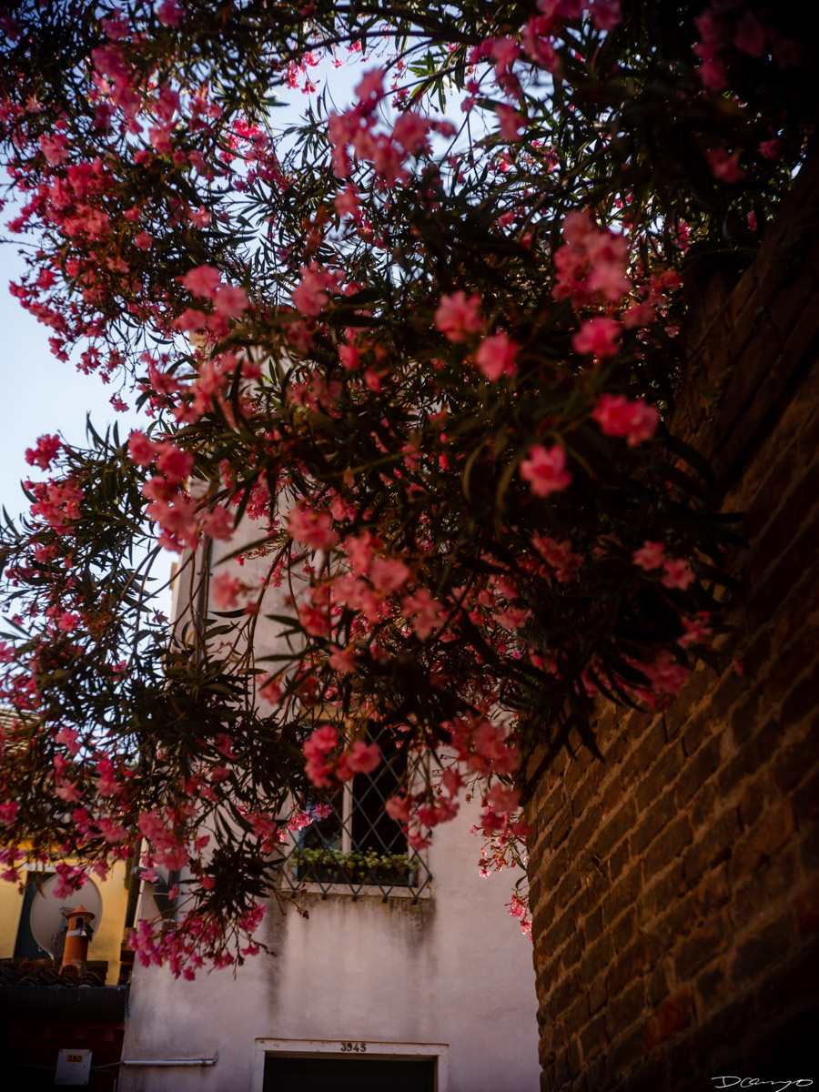 Photos from a trip through Italy in Summer of 2023. Locations include Rome, Florence, Tuscany, Castello di Bossi in Chianti, Siena, San Gimignano, Sirmione on Lake Garda, Bologna, Gudon, Italian Dolomites, Seceda, Cadini di Misurina, and Venice.